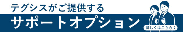 テグシスがご提供するサポートオプション